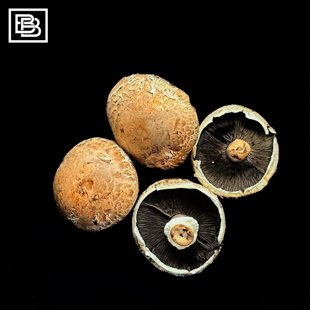 Local Portobello Mushroom, Vegetables