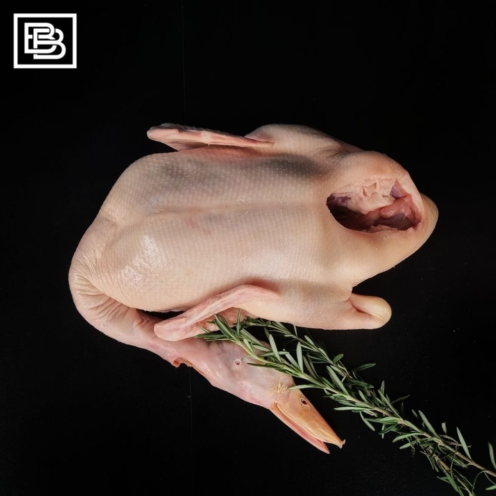 Whole Duck Head & Feet On