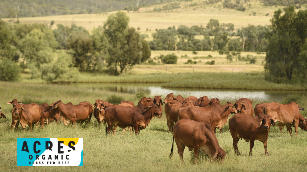 Clayton's Organic Grass Fed Beef