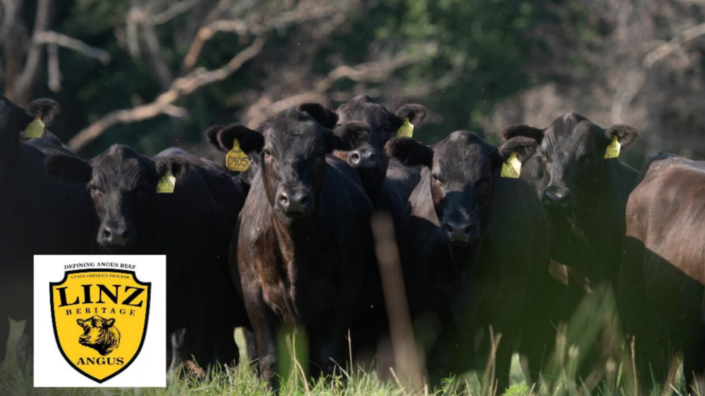 Lin'z Grain Fed USDA Beef