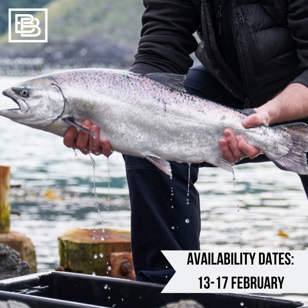 Fresh New Zealand Akaroa Whole King Salmon (Gilled & Gutted) Pre-Order ($120 Deposit, Balance Payment To Update Before Delivery)