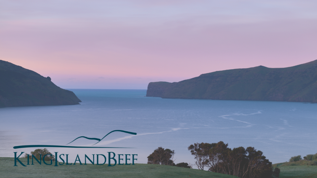 King Island Grass Fed Beef