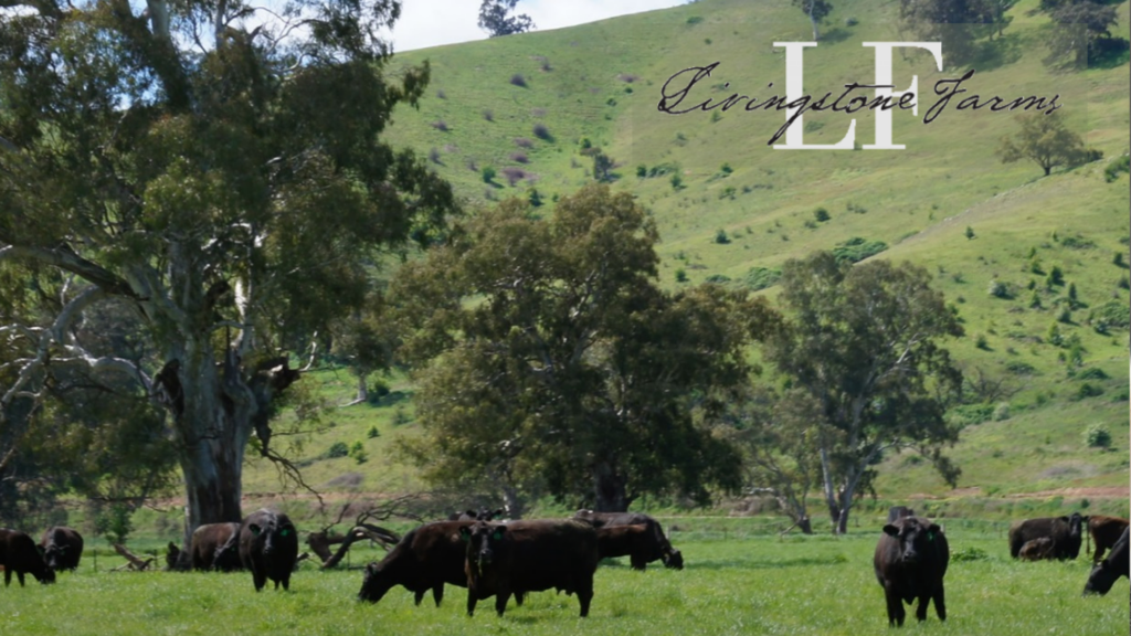 Livingstone Wagyu Beef