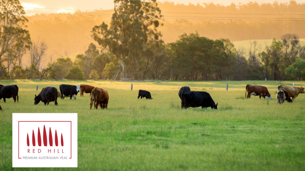 Redhill Australian Veal