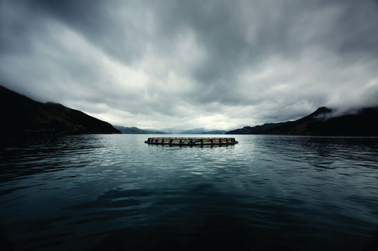 Why We Choose Akaroa Salmon: The King of Salmon
