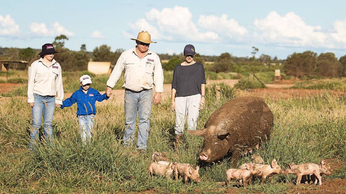 Why We Exclusively Work with Gooralie Free-Range Pork?