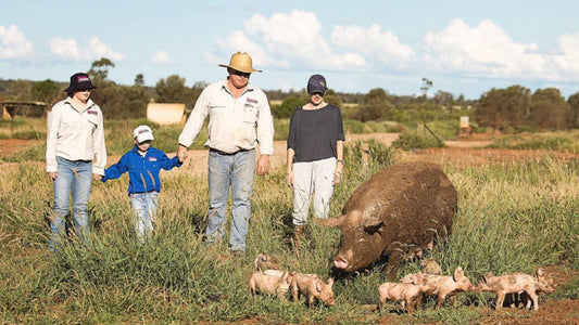 Why We Exclusively Work with Gooralie Free-Range Pork?