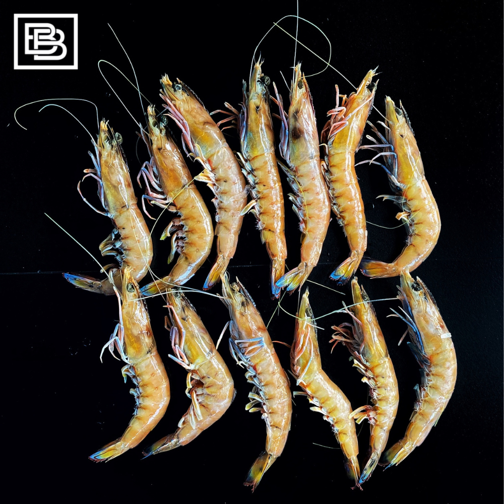 Eastern King Prawns, Australian Wild Caught