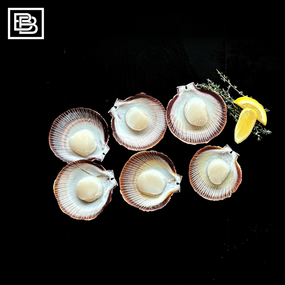 Half Shell Scallop, Scallop Butcher Box SG