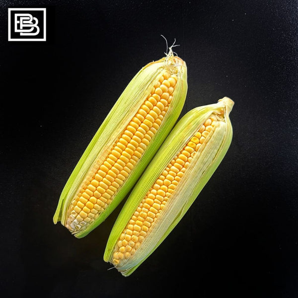 Yellow Corn [2pcs] – Butcher Box SG