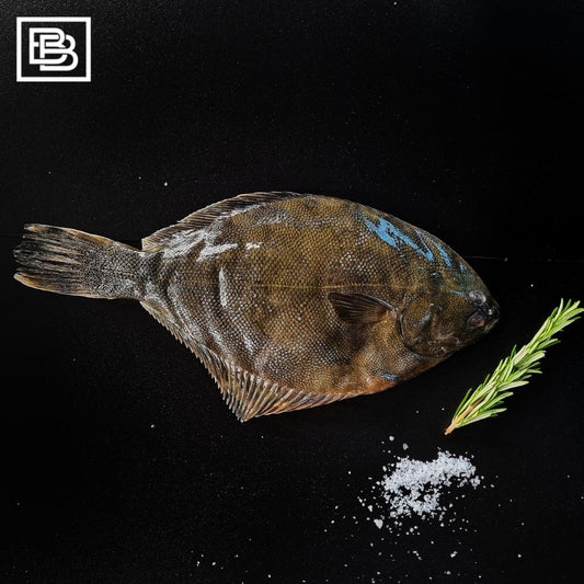 Whole Yellow Belly Flounder, New Zealand Wild Caught