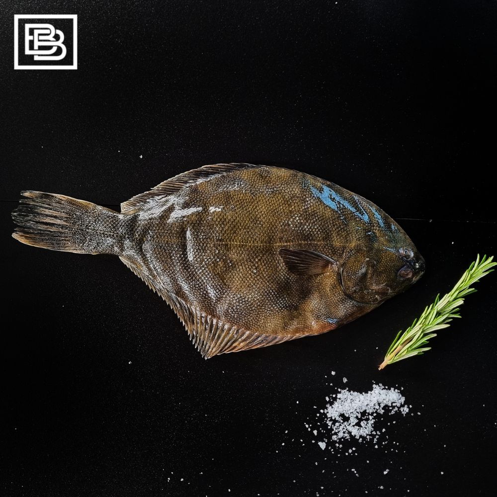 Yellow Belly Flounder, New Zealand, Wild Caught, Flounder Butcher Box SG