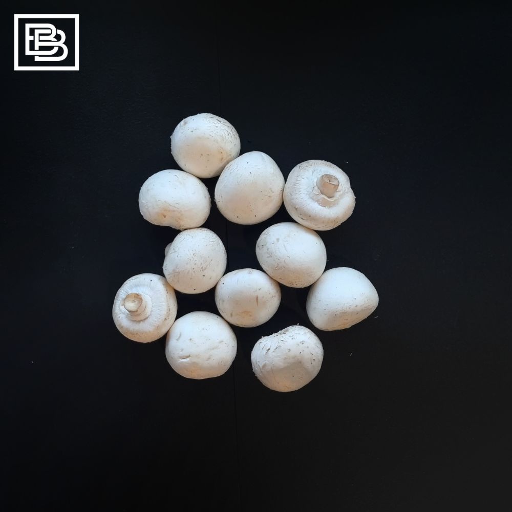 White Button Mushroom [250g]