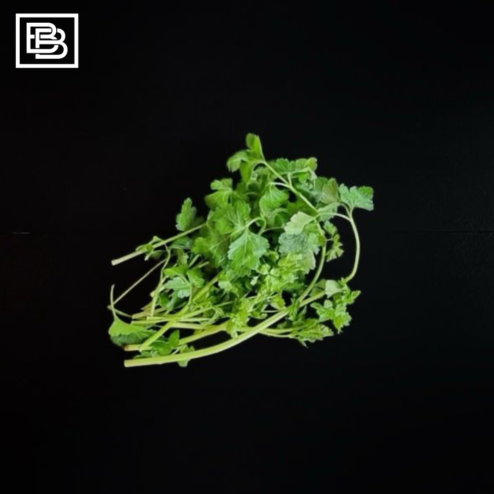 Fresh Italian Parsley, Herbs