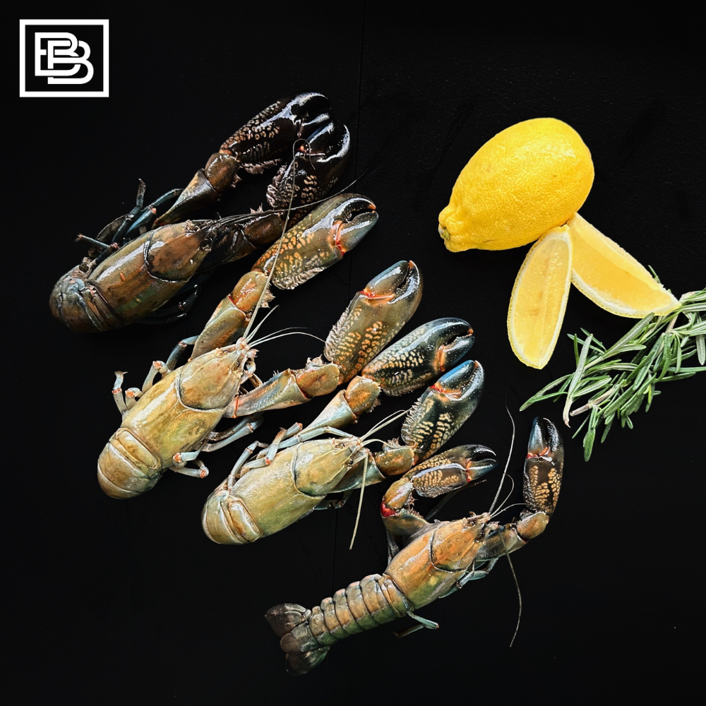 Australian Yabbies Frozen [450-500g]