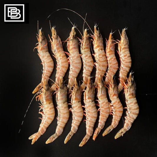 Raw Shark Bay Tiger Prawns - Western Australia Frozen [480-500g]