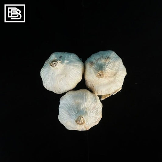 White Spanish Garlic Whole [290-310g]