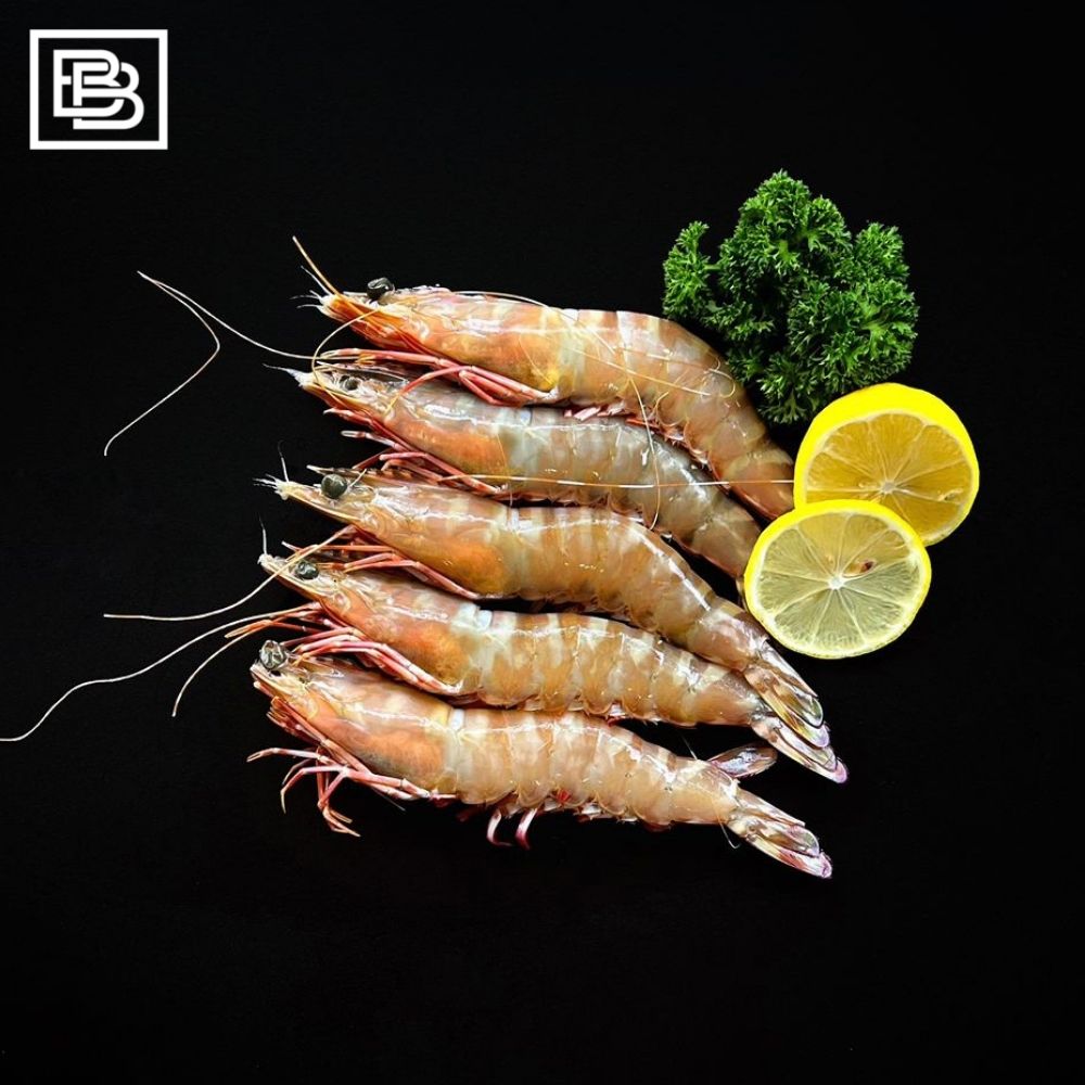 Australian Extra Large Skull Island Tiger Prawns Frozen [370-400g]
